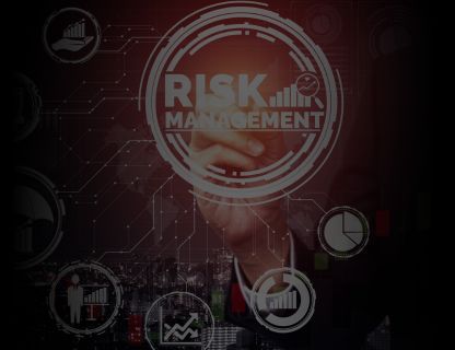 Cyber Risk Management & vCISO Services